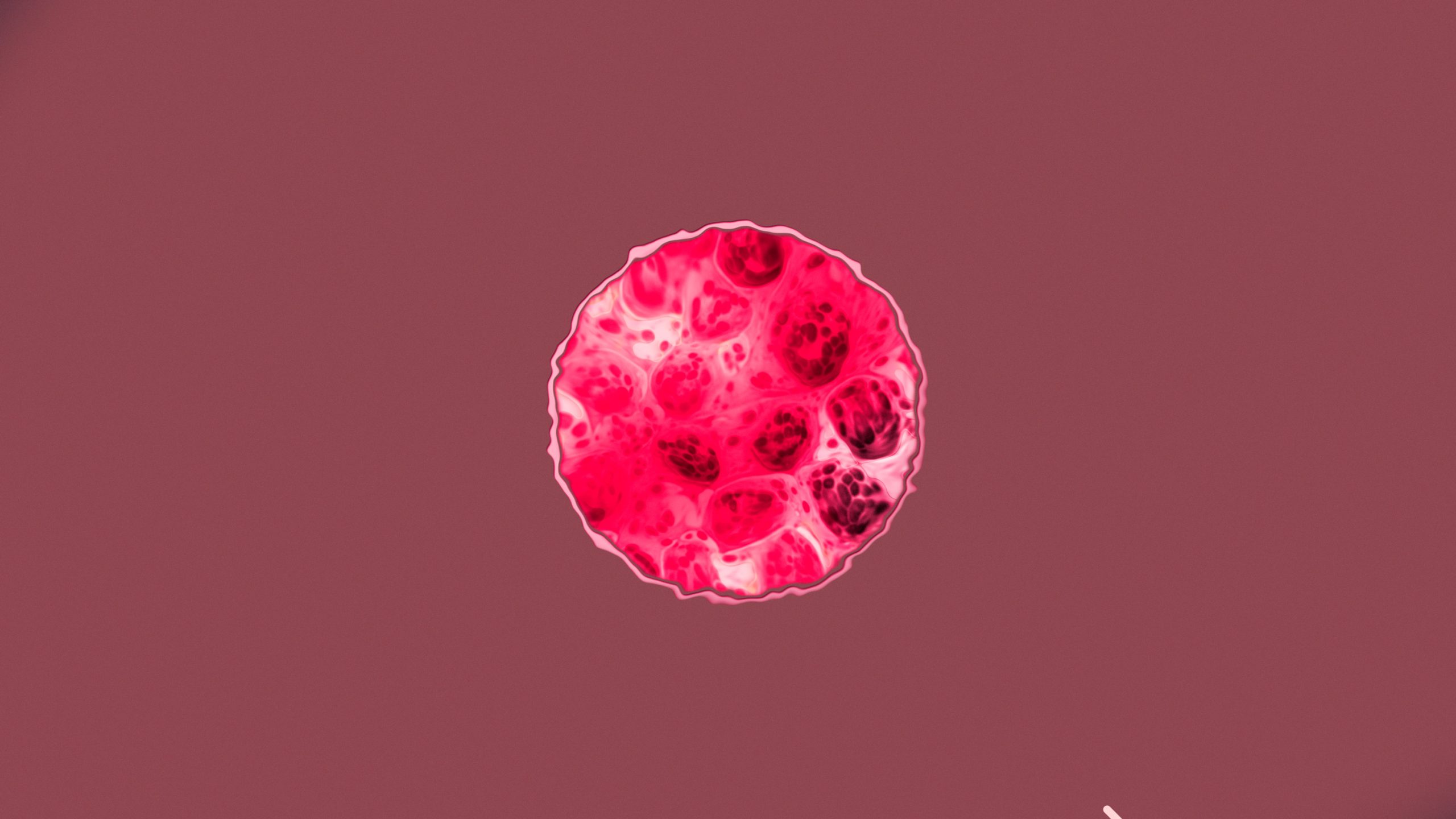 S+D_IP001_v2_00923