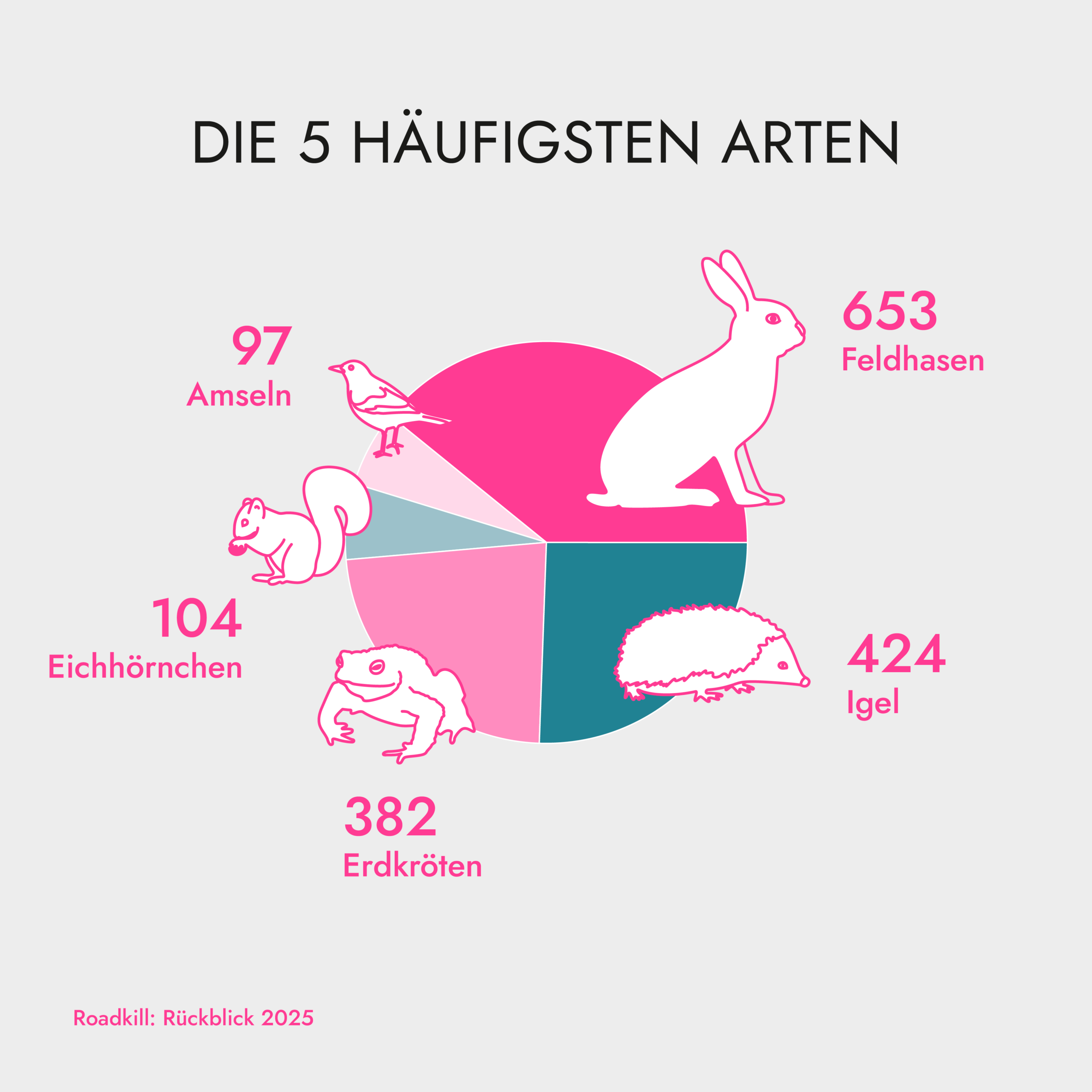 RK-Rueckblick2025-SM_rgb-3