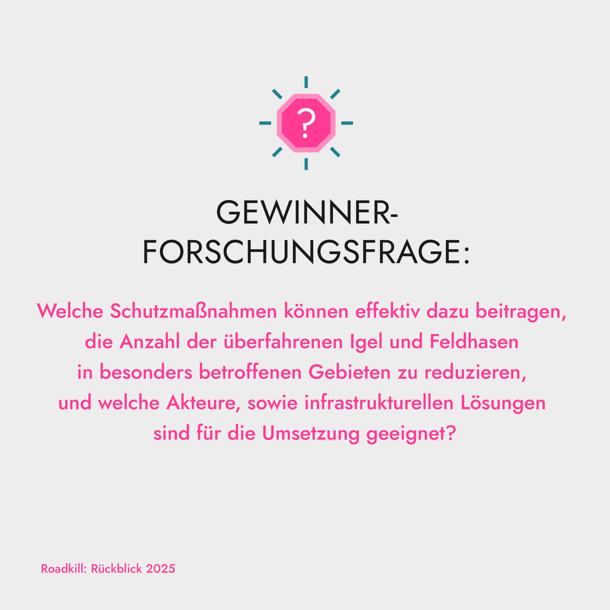 RK-Rueckblick2025-SM_rgb-7